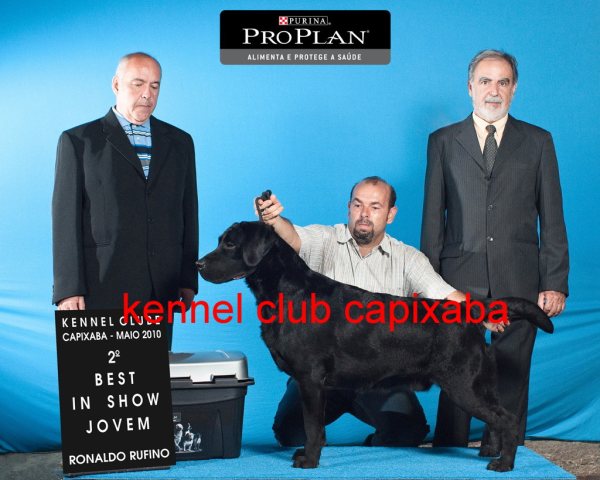 Clique sobre a foto para fechar